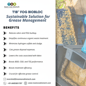 Trampa de Grasa Bio Block para Reducir la Carga de Aceite y Grasa, Hecha de Plástico - Product Image 1