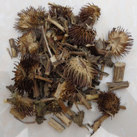 Herbes d'Échinacée : Feuilles Entières Séchées, Extrait Pur pour Tisane