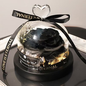 Rose éternelle sous cloche en verre avec lumière LED, cadeau pour la veille de Noël, fête du Nouvel An, cadeau de Noël, Saint-Valentin, décoration de maison - Product Image 1