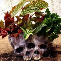 Pâques Creative Simple Double Crâne Pots De Fleurs Prank Décorations Statue Numérique Ornements Écologique PE Matériel 3D Imprimé