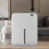 Diffuseur de parfum électrique Machine à parfum pour la maison Hôtel Diffuseur d'huiles essentielles Diffuseur d'arômes sans eau en plastique