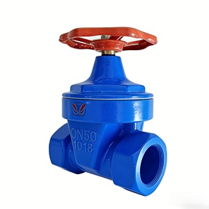 Válvula de Compuerta Roscada DN50 con Asiento Resiliente, Válvula de Hierro Dúctil NPT/BSPT para Suministro de Agua, Fontanería, Tuberías de Construcción - Product Image 2