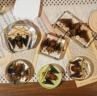 Spécimen de chauve-souris véritable en résine transparente, curio taxidermique, objet de collection, aide pédagogique en biologie, décoration gothique pour la maison ou le bureau
