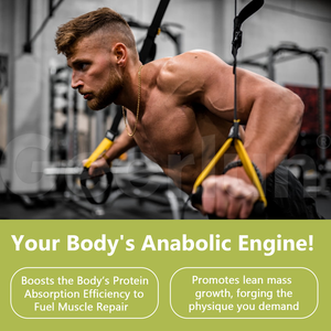 Hoge Kwaliteit Pure <span class=keywords><strong>Ginseng</strong></span> Poeder Kruidensupplement Bevorderen Gestage Gewichtstoename <span class=keywords><strong>Ginseng</strong></span> Wortelpoeder Voor Het Verbeteren Van De Eetlust - Product Image 3