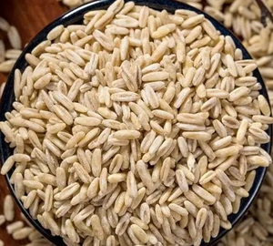 Germos de <span class=keywords><strong>Avena</strong></span> y Arroz Naturales Premium de Fábrica |   <span class=keywords><strong>Avena</strong></span> Germinada Envasada al Vacío - Product Image 1