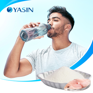 Fabrika Çıkışı Balık Kolajeni Protein Kolajen Tozu Denizden Gelen Aromasız Erkekler İçin Besin Takviyesi - Product Image 1