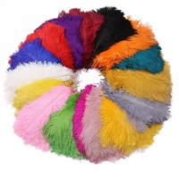 Plumes d'autruche teintées de 25-30 cm, fourniture d'usine, fournitures de décoration pour coiffes de mariage DIY, bouquets muraux