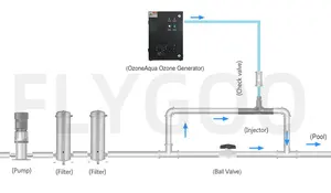 Flygoo Air Feed Ozone Machine For Swimming Pool Water Treatment System Industrial Water Ozone Generator