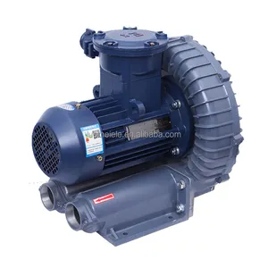 1500W Explosieveilige Ring Blower Atex Vortex Benzinepomp Biogas Regeneratieve Blower