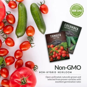 Kit de cultivo de hierbas y flores orgánicas <span class=keywords><strong>resistentes</strong></span>, tolerante a la sequía <span class=keywords><strong>para</strong></span> jardín, uso doméstico al aire libre <span class=keywords><strong>para</strong></span> plantar en invierno - Product Image 6