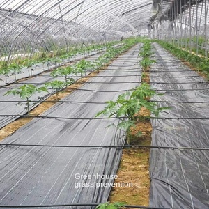 Dày PP nhựa chống cỏ che phủ mặt đất thoáng khí thấm chống lão hóa nông nghiệp cây ăn quả vườn cây dệt vẽ - Product Image 4