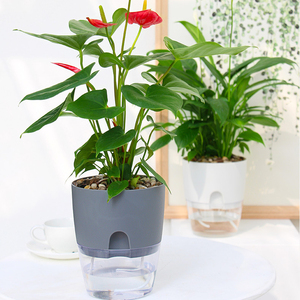 Bán Hot Nhựa Chậu Cây Vườn Treo Dọc Chậu Hoa Tường Tự Tưới Nước - Product Image 2