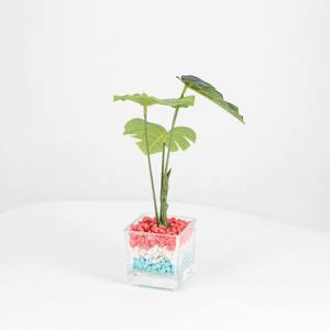 Usine mur jardinière en céramique Simple jardinière artificielle plante succulente <span class=keywords><strong>Pot</strong></span> ensemble finition émaillée pastorale <span class=keywords><strong>Pot</strong></span> de fleur Art navire - Product Image 3