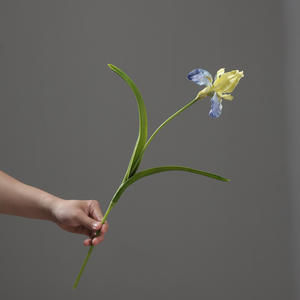 Fleur <span class=keywords><strong>d</strong></span>'<span class=keywords><strong>iris</strong></span> artificielle à longue tige en PU effet toucher réel de 22,8 pouces pour la <span class=keywords><strong>d</strong></span>écoration de mariages, mariées, maison, cuisine, fêtes et arrangements floraux - Product Image 4