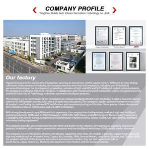 مقاعد الأعمال الكهربائية الخلفية الفاخرة مريحة مخصصة مقعد سيارة فان لكيا كرنفال - Product Image 4