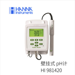 เครื่องส่งสัญญาณ Hanna pH Ec รุ่น Hi 98143 แบบแยกอิสระสำหรับเซ็นเซอร์ตรวจวัดสภาพแวดล้อม - Product Image 3