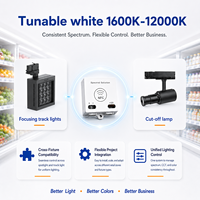 Lampu Sorot Plafon 1600K-12000K Tunable White NFC DUV LED yang Dapat Disesuaikan untuk Supermarket, Toko Roti, Showroom, Lobi Hotel