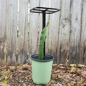<span class=keywords><strong>Enrejado</strong></span> <span class=keywords><strong>para</strong></span> plantas trepadoras, <span class=keywords><strong>enrejado</strong></span> de plantas, torre de fruta de dragón, poste de escalada <span class=keywords><strong>para</strong></span> jardín de vegetales, hogar, <span class=keywords><strong>Patio</strong></span> interior y exterior - Product Image 3