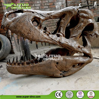 Répliques de fossiles de crâne de dinosaure T-Rex du musée