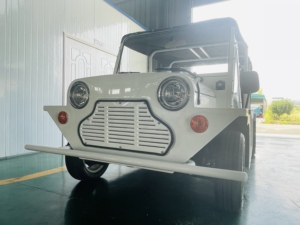 Auto Elettrica con Batteria al Litio 96V, Moke Californiana Elettrica 42-MPH, Veicolo Elettrico Moke - Product Image 6