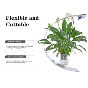 Linh hoạt <span class=keywords><strong>LED</strong></span> phim pha lê Màn hình hiển thị trong suốt Màn hình <span class=keywords><strong>LED</strong></span> trên trung tâm mua sắm Windows Glass dính <span class=keywords><strong>LED</strong></span> quảng cáo Bảng điều chỉnh - Product Image 4