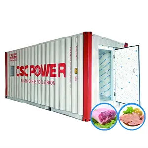 Stockage à froid portatif de chambre froide de conteneur de 20 pieds pour la viande de poisson Fruits Légumes à vendre