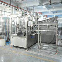 Ligne de remplissage automatique de bouteilles d'eau pure minérale pour animaux de compagnie, machine de remplissage d'eau potable, machine d'emballage de sachets d'eau