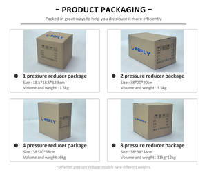 Régulateur de pression de gaz d'<span class=keywords><strong>azote</strong></span> <span class=keywords><strong>liquide</strong></span> à une seule étape SS316L Entrée 500 3000psi - Product Image 3
