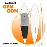 Planche de foil légère haute performance en carbone pour le downwind, longue et étroite, pour Wingfoil, SUP Foil et Parawing DW Foil