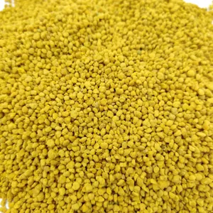 Perdita di peso commestibile puro polline di colza fresco all'ingrosso sfuso naturale puro polline di colza biologico commestibile