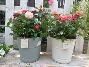 La Fábrica Tiene <span class=keywords><strong>en</strong></span> Stock: Artesanías Metálicas, Cubos <span class=keywords><strong>de</strong></span> Hojalata para Patio <span class=keywords><strong>de</strong></span> Villa, Decoraciones para Jardín Francés y Balcón, Macetas - Product Image 1