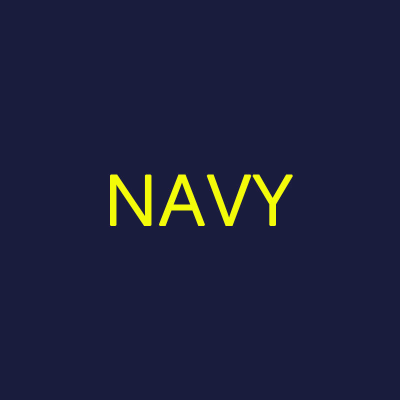 Navy