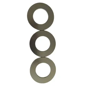 Guarnizione a spirale con flangia in metallo SS304/SS316 guarnizione in acciaio al carbonio grafite