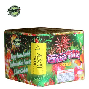 Nationale Dag Viering Gelukkig Boom Vuurwerk Chinese Vuurwerk Cake 11 Shots Voor Show