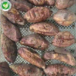 Patate douce rôtie congelée au miel IQF <span class=keywords><strong>de</strong></span> prix d'acheteur tonne non sucré biologique sain naturel congélation nutritif - Product Image 3