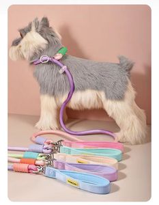 Customizable dog anti-explosion shock-proof P-string for medium-large-sized dogs, pet <b>rope</b>, dog <b>chain</b>, dog training <b>rope</b> - Product Image 1