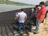 Настраиваемые геоячейки из HDPE для подпорных стен |   Множество спецификаций: высота, расстояние между сварными швами, цвет по запросу.