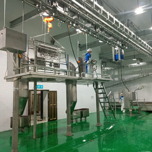 <span class=keywords><strong>Abattoir</strong></span> à bétail avec équipement d'abattage de bovins - Product Image 4