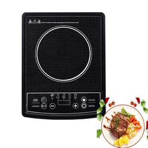 Hot Sell Low Price Portable Electric Stove 2200W Energy Saving Electric Ceramic Plate Induction Cooktop With EMC