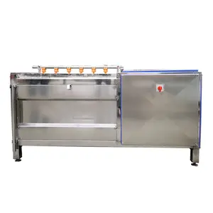 Large Capacity Vegetable Processing Equipment Potato Washing Peeling Machine Onion Peeling Machine