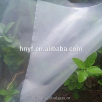 Film de serre PE avec protection UV pour la plantation, 5 ans, anti-goutte, anti-buée, pour tunnel polyvalent, culture de tomates