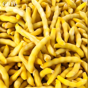 Haricots jaunes dorés frais de qualité supérieure / Qualité export / Origine Chine / Vente en gros / IQF surgelés / À vendre - Product Image 2