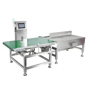 Dynamic Conveyor Checkweigher Automatic Weighing Machine For Big Packages