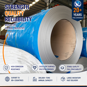 409L Bead Blasted 6.0mm 1219mm ID 610mm Tension Leveled EN 10088 Stainless Steel Strip for Pressure Vessel - Product Image 1