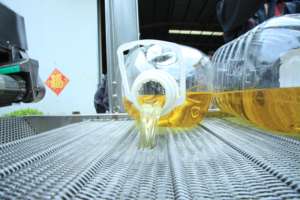 Nieuwe Staat Groentelijn Bloem Friteuse Voor Weegbree Goed Product Volautomatische Ce Gecertificeerde Snack Voedselverwerkende Machine - Product Image 6