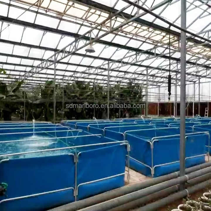 SDM Fish Tanks - Durable Aquatic Solutions for Ras Farming