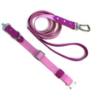 ล่าสุดปกปรับได้ที่กําหนดเองทนทานโลหะหัวเข็มขัดการฝึกอบรมกลางแจ้งเชือกรื่นตะกั่ว <span class=keywords><strong>flexi</strong></span> สายจูง PVC สายจูงสุนัขชุดเทป - Product Image 1