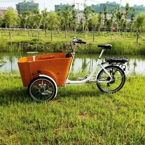 จักรยานบรรทุกสินค้าไฟฟ้า<span class=keywords><strong>3</strong></span>ล้อแบบทรงตัวเองได้ของยุโรป - Product Image 3