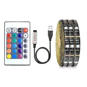 USB 6.56ft 50CM waterproof Color Changing Flexible 24KEY IR Remote Control RGB SMD 5050 60 LED Strip Light 40-60in TV backlight