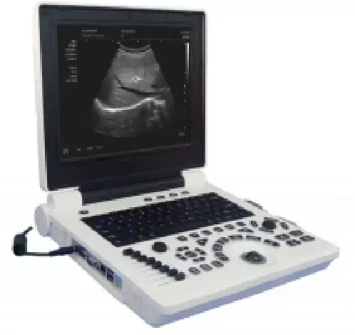 Medicalachine Probe Medical Pet hospital Transducer Pregnancy Scanner Ultrasound Gel ultrasound vet